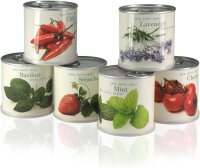 MacFlowers® Blumen in der Dose Geschenk Set Cherry...