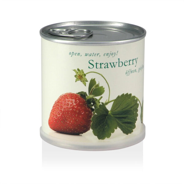 MacFlowers® Extragifts Blumen in der Dose - Erdbeere/Strawberry