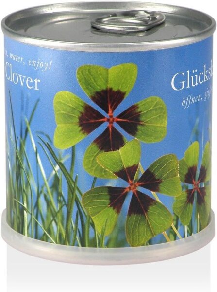 MacFlowers® Extragifts Blumen in der Dose - Glücksklee