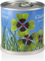 MacFlowers® Extragifts Blumen in der Dose -...