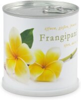 MacFlowers Frangipani | Anzuchtset als besondere Geschenk...