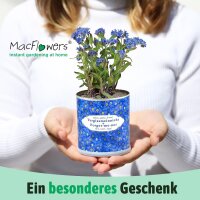 MacFlowers Vergissmeinnicht | Pflanzset mit...